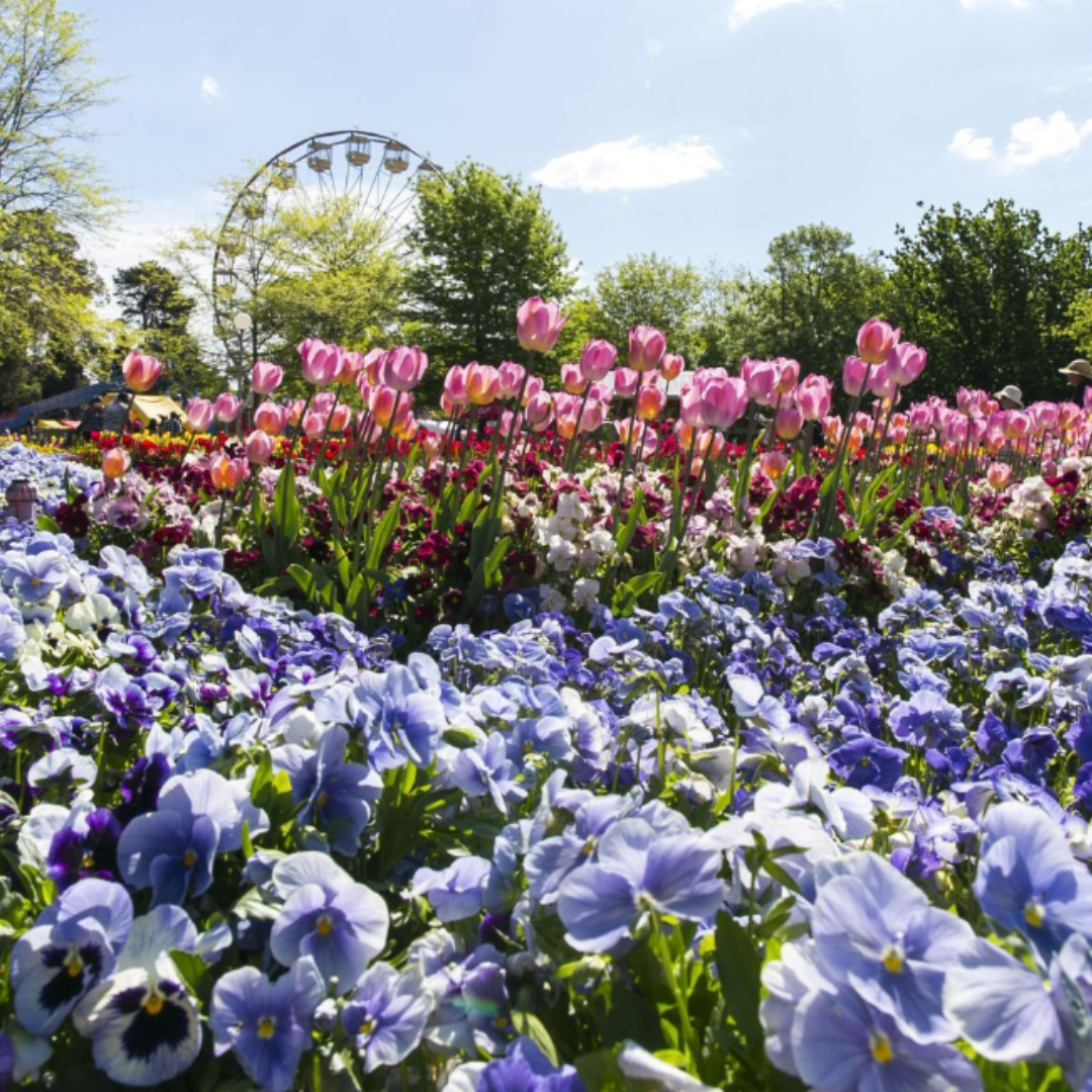 Floriade